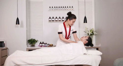 美容師國家職業(yè)等級認(rèn)定教材拍攝圓滿收官 技術(shù)標(biāo)準(zhǔn)與服務(wù)規(guī)范的視覺詮釋